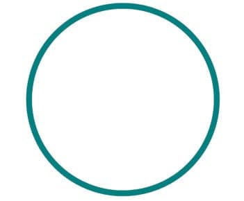 circle-full